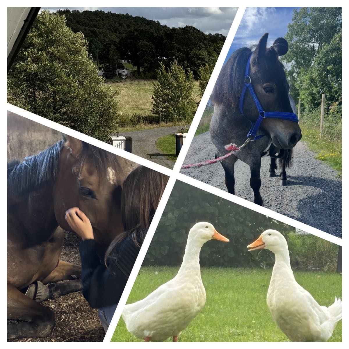 Nära till stan med känsla av långt bort