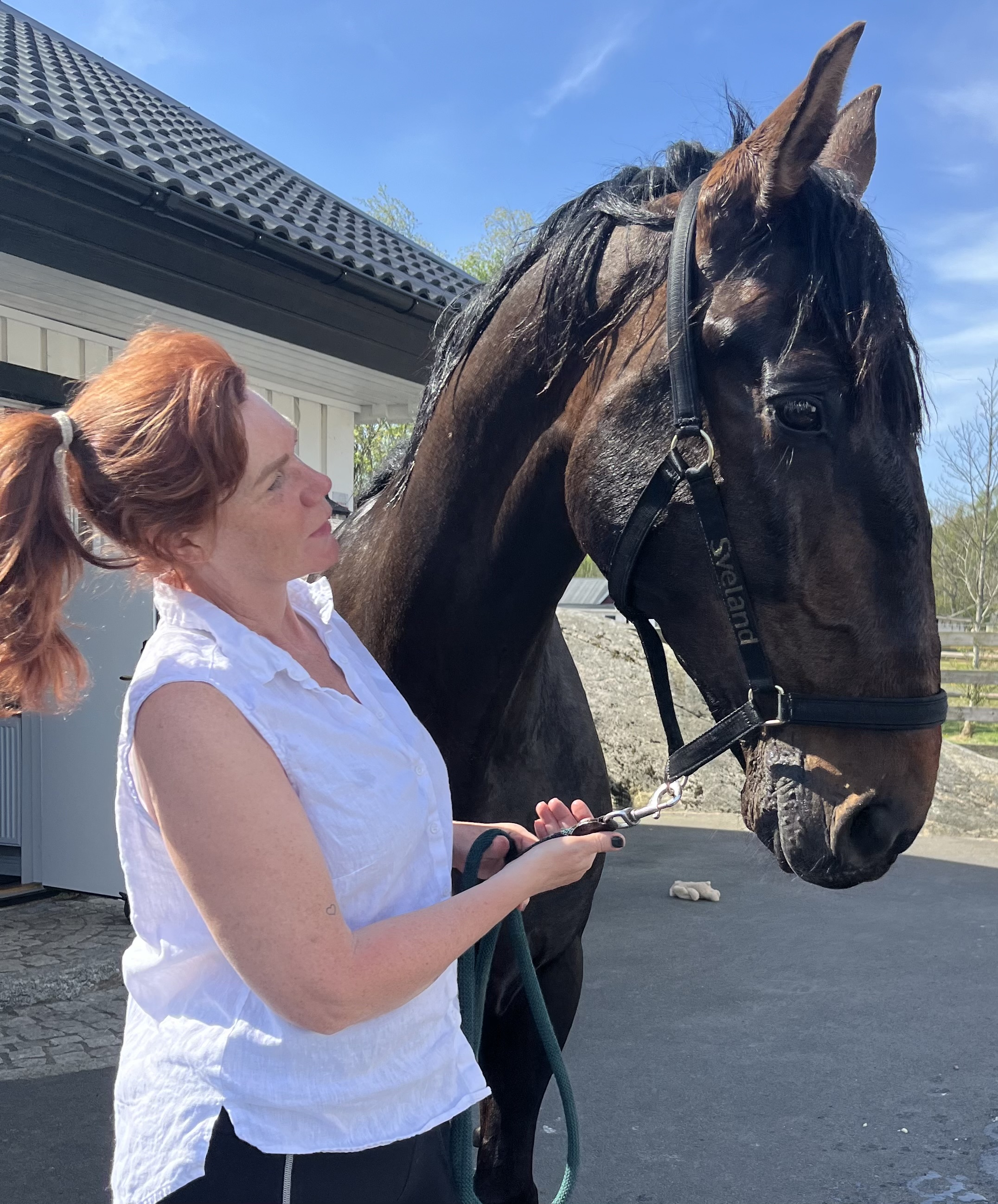 Anna med Bentunero, Annas Gård