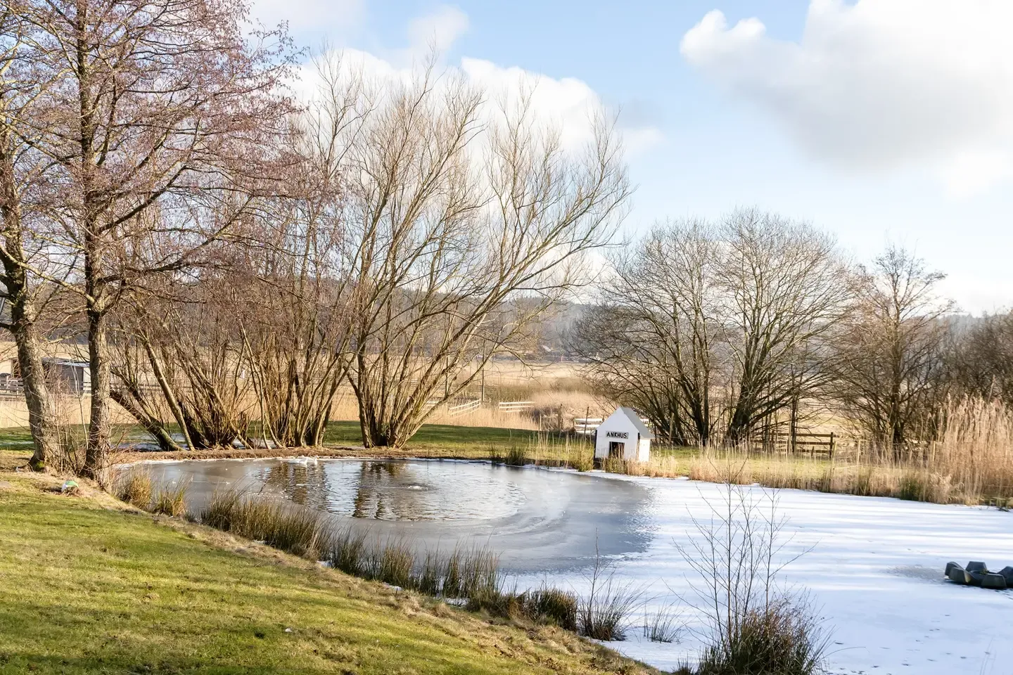 Bild på damm, Annas Gård