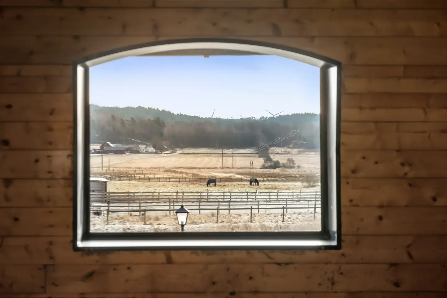 Bild på hagar, Annas Gård